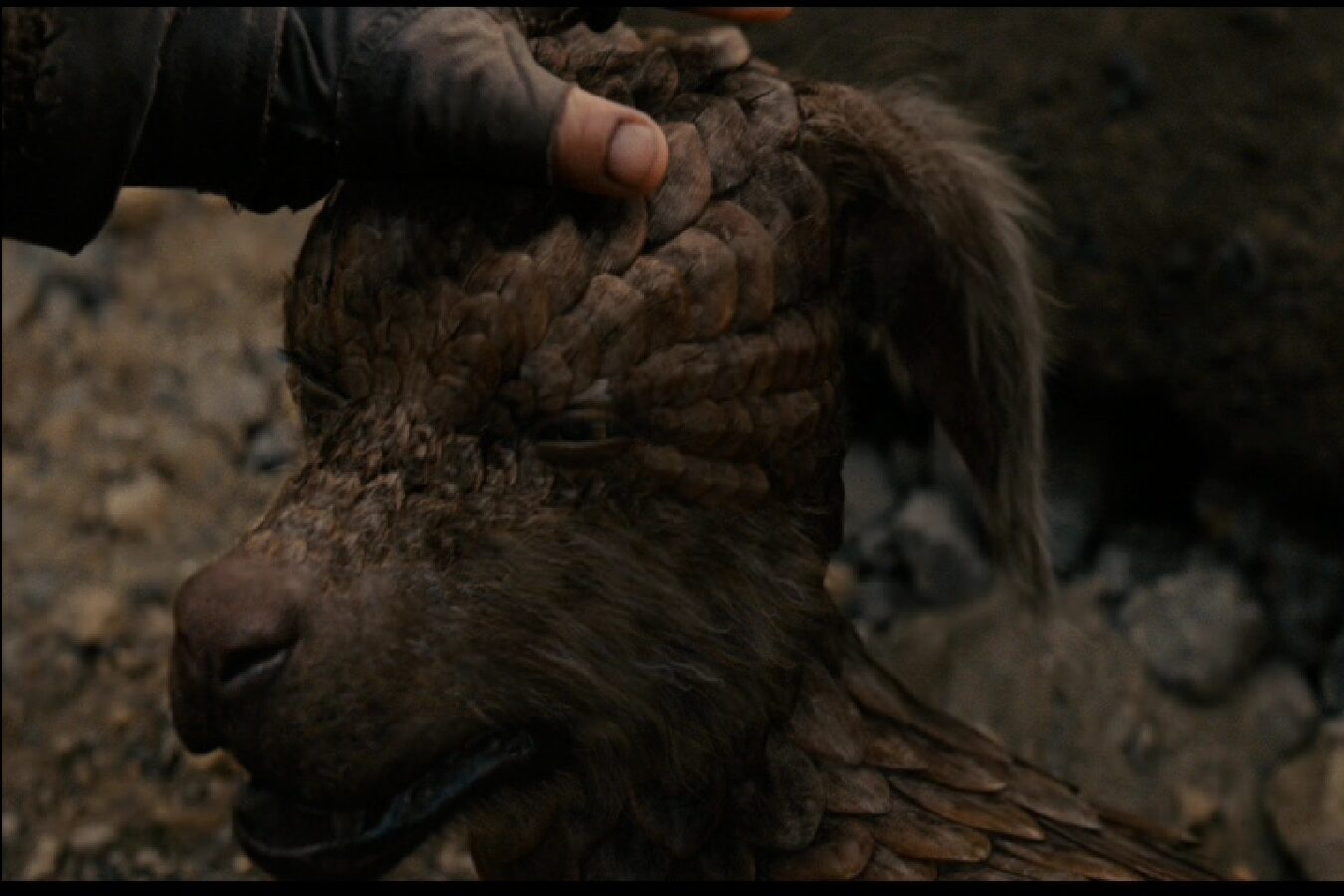 NOAH / THOR: THE DARK WORLD